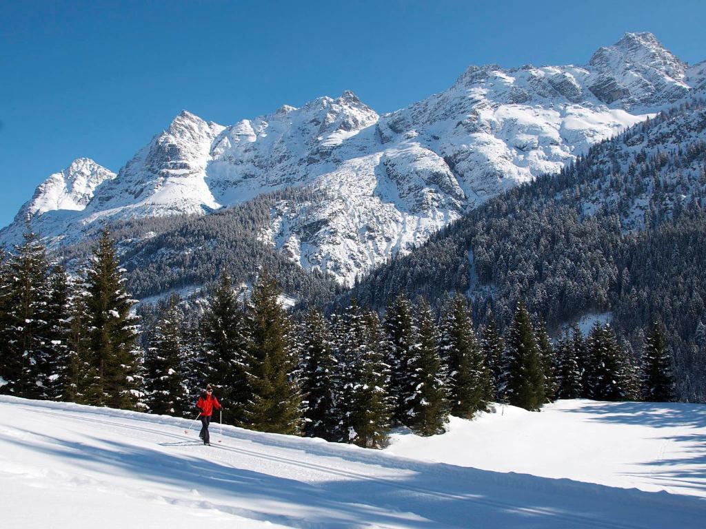 ホテル Berghof Am Schwand Hinterhornbach エクステリア 写真